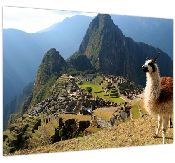 Kép - Láma és Machu Picchu (70x50 cm)