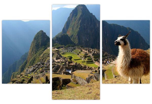 Kép - Láma és Machu Picchu (90x60 cm)