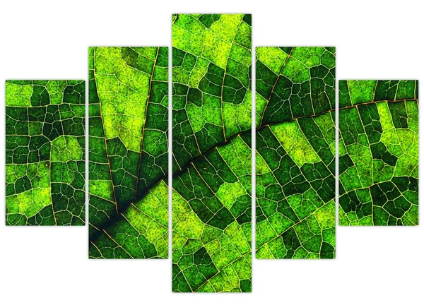 Kép - A lap részlete (150x105 cm)
