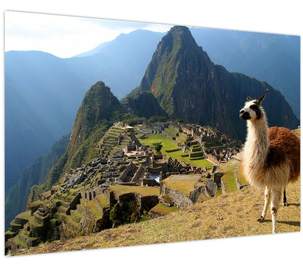 Kép - Láma és Machu Picchu (90x60 cm)