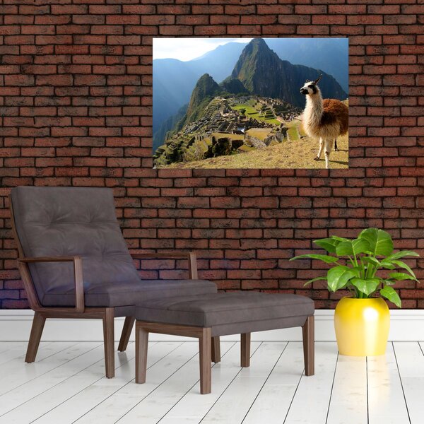 Kép - Láma és Machu Picchu (90x60 cm)
