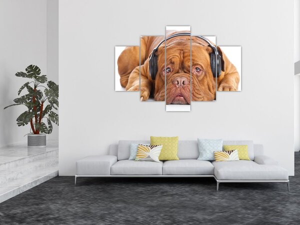 Kép egy kutya fejhallgatóval (150x105 cm)
