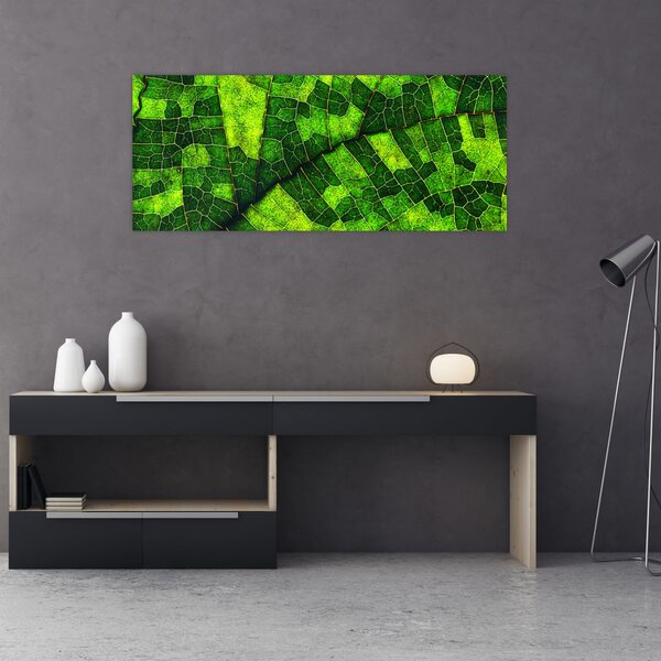 Kép - A lap részlete (120x50 cm)