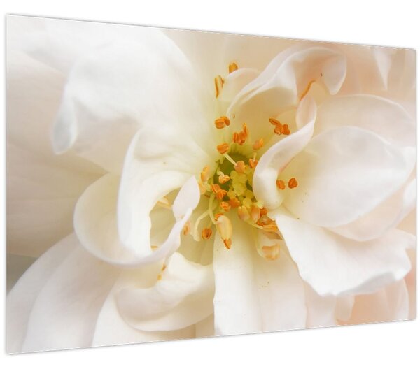 Kép - Virág (90x60 cm)