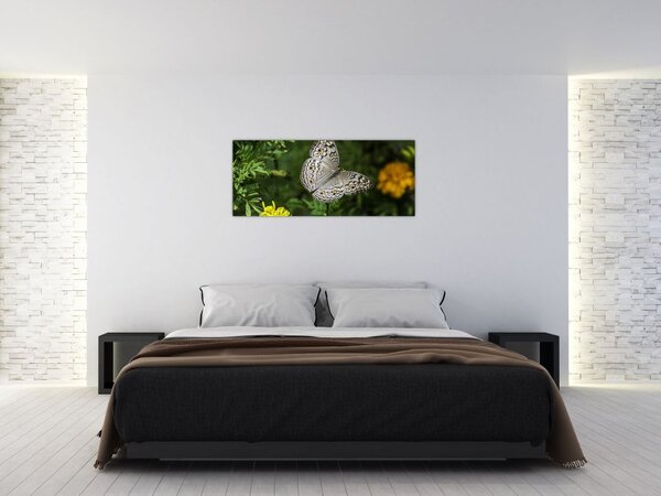 Kép - fehér pillangó (120x50 cm)