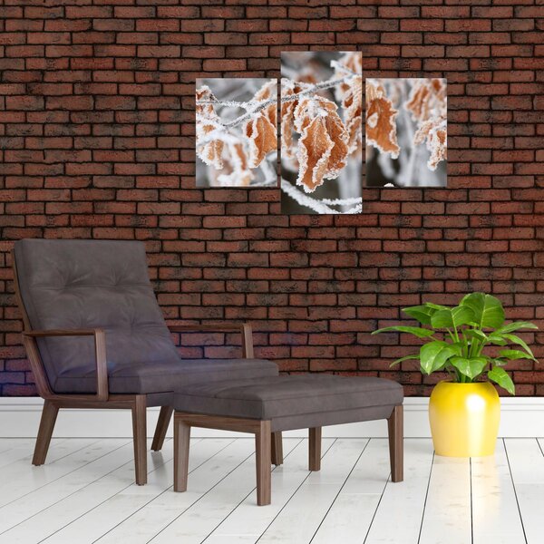 Kép - Fagyott levelek (90x60 cm)