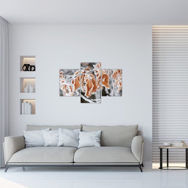 Kép - Fagyott levelek (90x60 cm)