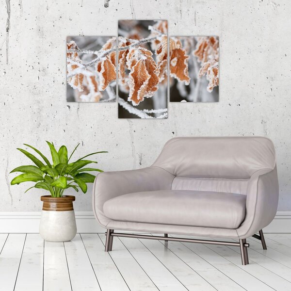 Kép - Fagyott levelek (90x60 cm)