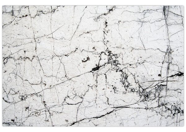 Kép - Fal (90x60 cm)
