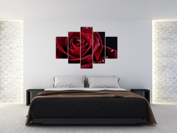 Kép - Vörös rózsa (150x105 cm)