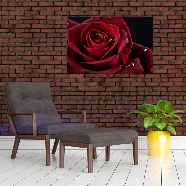 Kép - Vörös rózsa (90x60 cm)