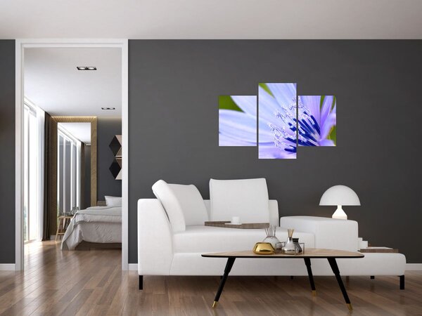 Kép - Virág (90x60 cm)