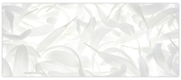 Kép - Szirmok (120x50 cm)