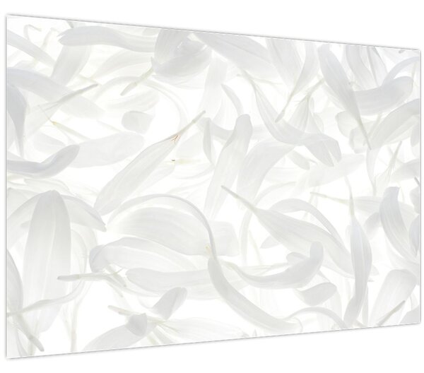 Kép - Szirmok (90x60 cm)