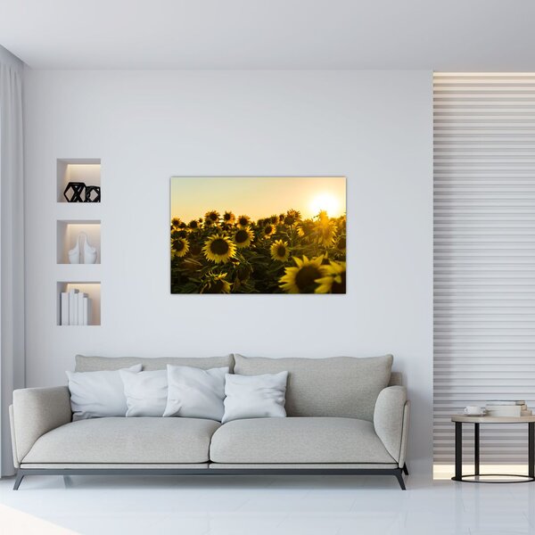 A napraforgó mező képe (90x60 cm)
