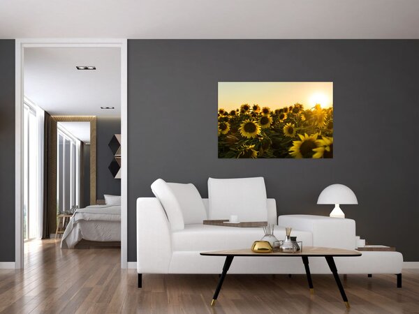 A napraforgó mező képe (90x60 cm)
