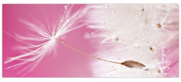 Kép - Makró virága (120x50 cm)