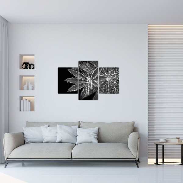 Kép - Cseppek (90x60 cm)