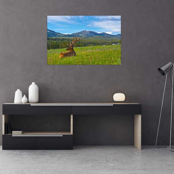Kép - Szarvas a réten (90x60 cm)