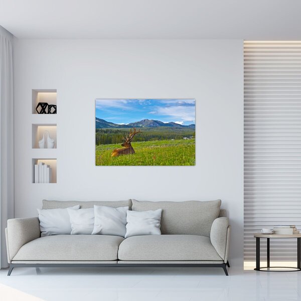 Kép - Szarvas a réten (90x60 cm)