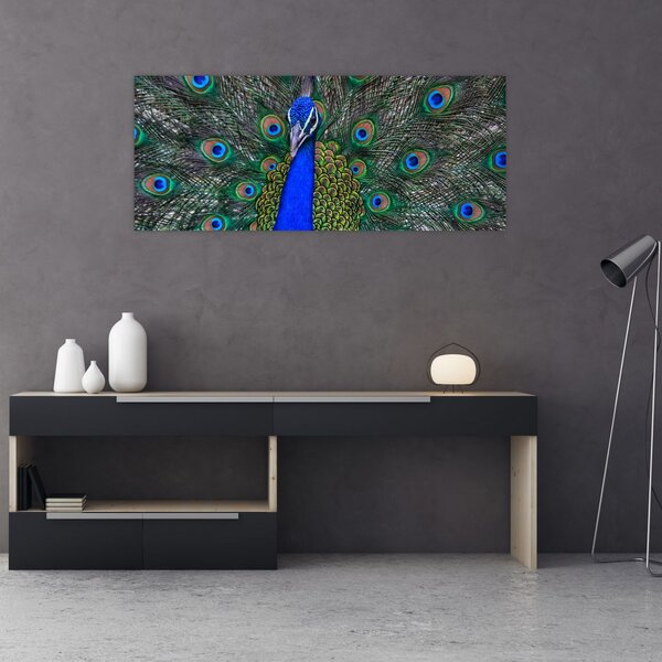 Kép - Páva (120x50 cm)