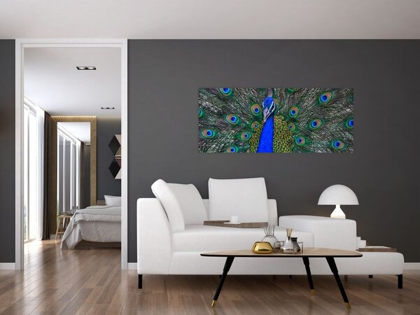 Kép - Páva (120x50 cm)
