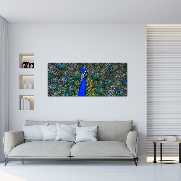 Kép - Páva (120x50 cm)