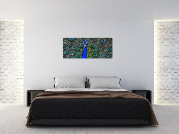 Kép - Páva (120x50 cm)