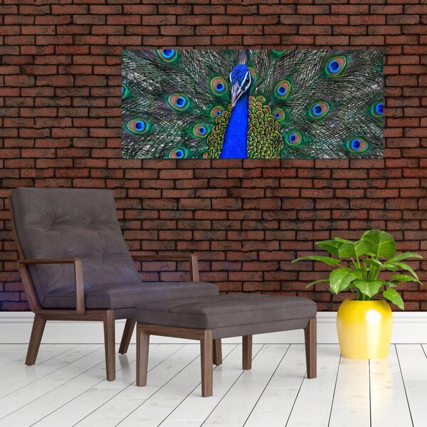 Kép - Páva (120x50 cm)