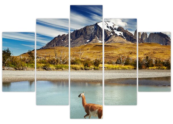 Kép - Torres del Paine Nemzeti Park (150x105 cm)