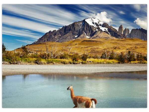 Kép - Torres del Paine Nemzeti Park (70x50 cm)