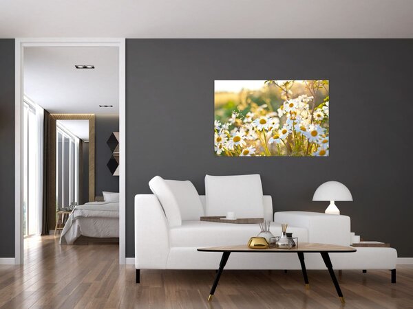 Kép - Százszorszépek (90x60 cm)