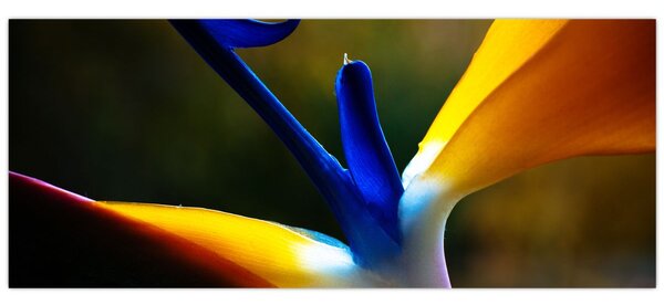 Kép - Egzotikus virág (120x50 cm)