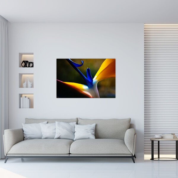 Kép - Egzotikus virág (90x60 cm)