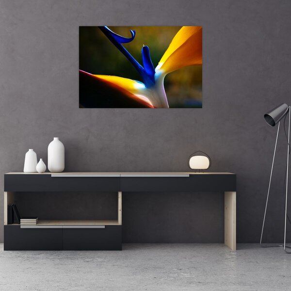 Kép - Egzotikus virág (90x60 cm)