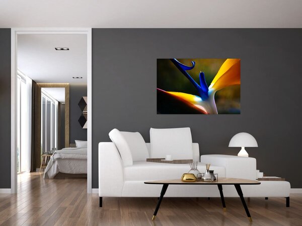 Kép - Egzotikus virág (90x60 cm)