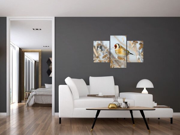 Kép - Aranypinty (90x60 cm)
