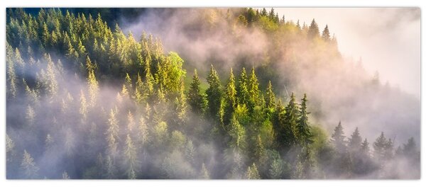 Egy hegyi táj képe (120x50 cm)