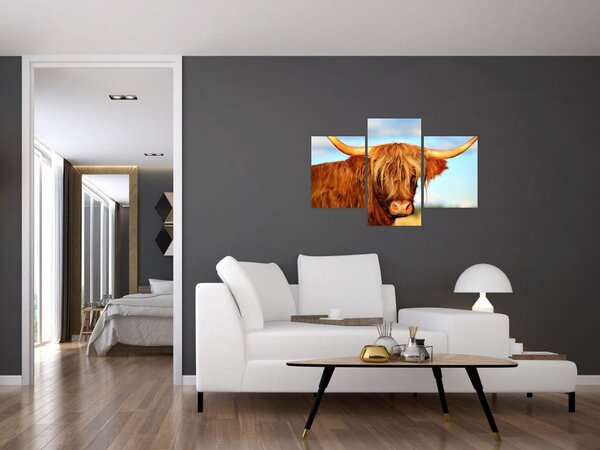 Kép - Skót tehén (90x60 cm)