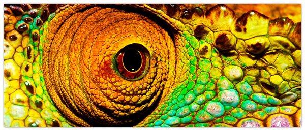 Kép - Kaméleon (120x50 cm)