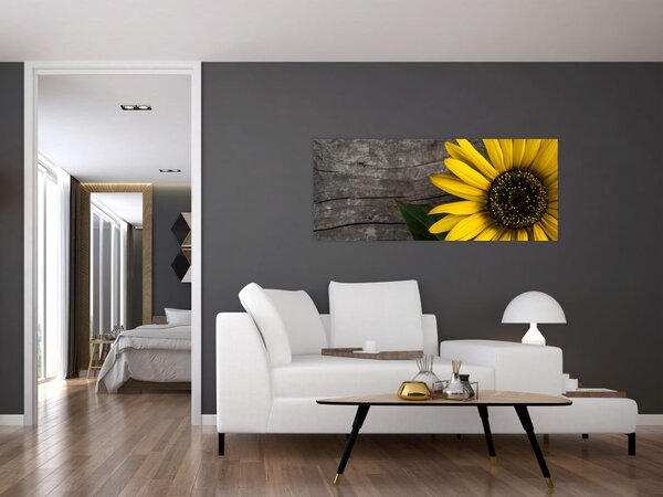 Kép - Napraforgó virága (120x50 cm)