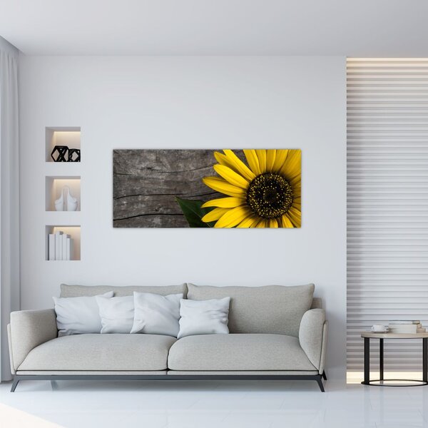 Kép - Napraforgó virága (120x50 cm)