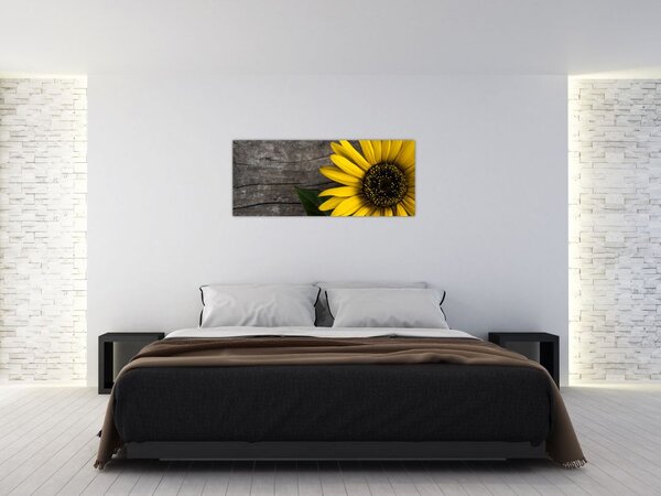 Kép - Napraforgó virága (120x50 cm)