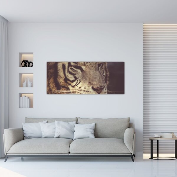 Tigris képe (120x50 cm)