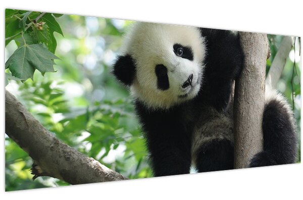 Kép - Panda a fán (120x50 cm)