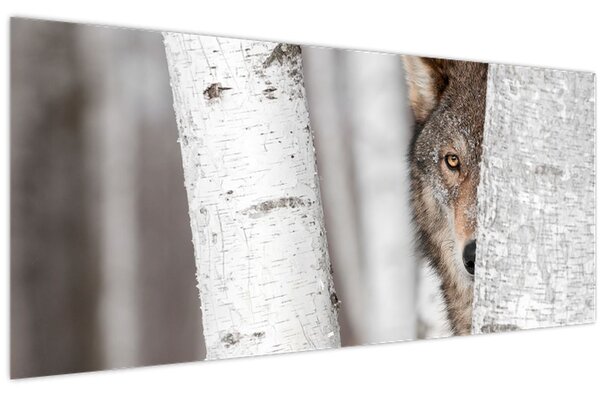 Kép - Farkas (120x50 cm)