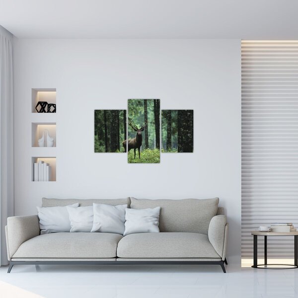 Kép - Szarvas egy mély erdőben (90x60 cm)