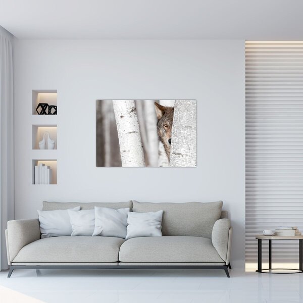Kép - Farkas (90x60 cm)
