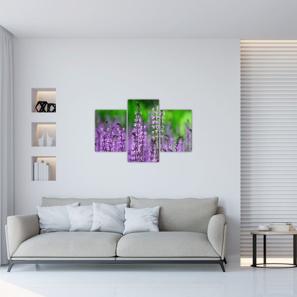Lila mezei virágok képe (90x60 cm)