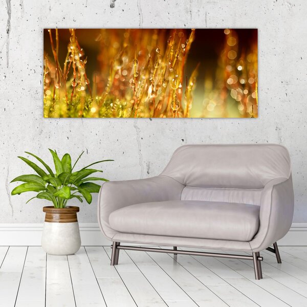 Kép - Harmat részlete (120x50 cm)